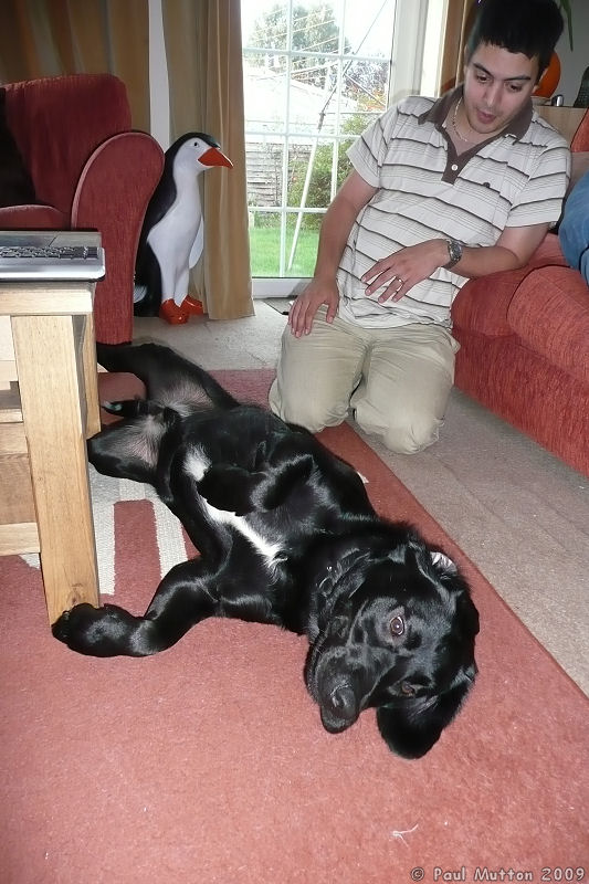 P1030352 Toby on floor